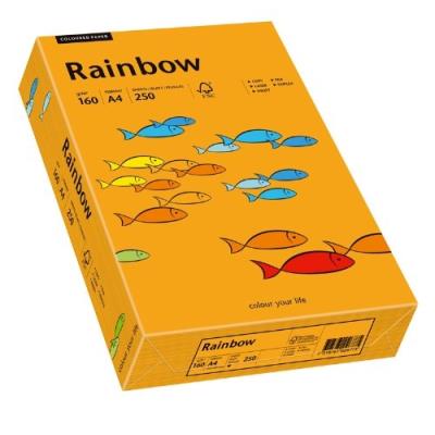 Papyrus 88042439 rainbow papier multifonctions format a4 160 g m² orange 250 feuilles