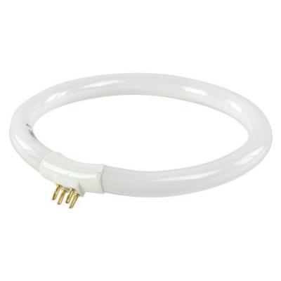 Hq ampoule de rechange pour mag-lamp3