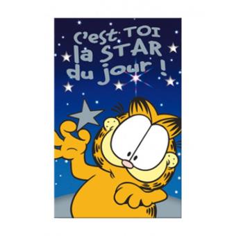 Carte Anniversaire Garfield Star Du Jour Article De Fete Achat Prix Fnac