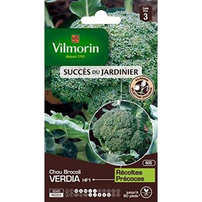 Vilmorin 3360743 Pack De Graines Chou Brocoli Verdia Hf1 Création