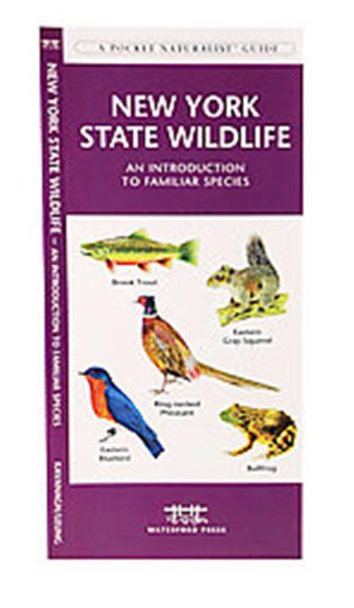 New York State Wildlife, A   Pocket Naturlaist Guide