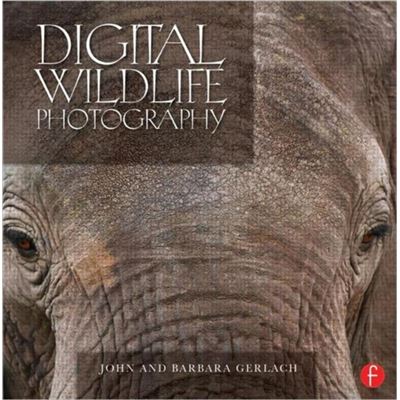 Digital Wildlife Photography (Hardcover)
