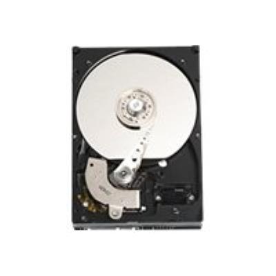 Dell - Vaste schijf - 1 TB - intern - 3.5 - SATA 1.5Gb/s - 7200 tpm - voor PowerEdge 1900, R210, R210 II, R220, T110, T110 II, T300, T310, T320, T410, T420, T605
