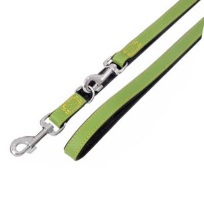 Comparer les prix de Vintage Laisse Entr. Vert 200Cm22Mm - Mon Animalerie