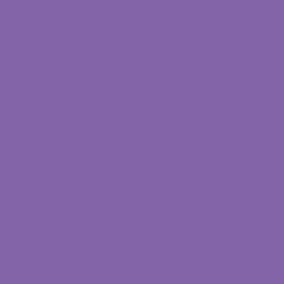 Savage Widetone papier Seamless Background (# 62 Violet, 53 x 36' )