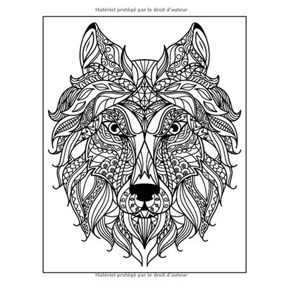 100 Mandalas Animaux Livre De Coloriage Lions Elephants Hiboux Chevaux Chiens Chats 213 Pages Format X 25 Cm Nlfbp Editions Broche Nlfbp Editions Achat Livre Fnac