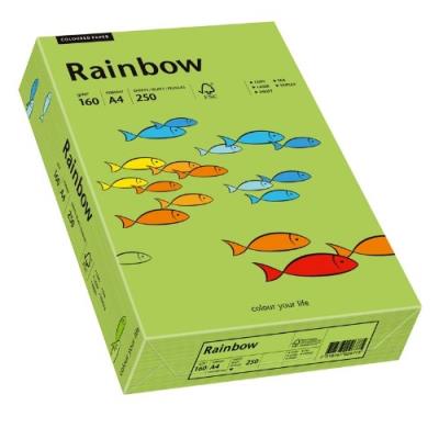 Papyrus 88042659 rainbow papier multifonctions format a4 160 g m² vert 250 feuilles