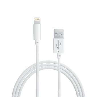 Cable USB iPhone pour 5s/5c (8-pin) blanc iOS 7 + - 1