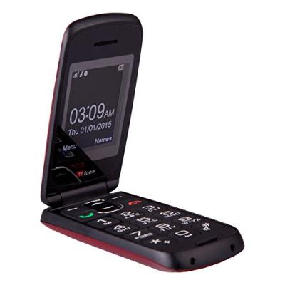 TTfone Star TT300 Téléphone portable débloqué 2G (Ecran: 2 pouces - 1 Mo - Simple SIM) Gris