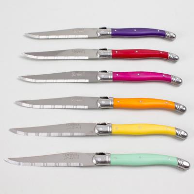 Jean dubost laguiole coffret 6 couteaux steak coul