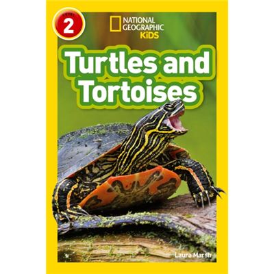 Turtles & Tortoises
