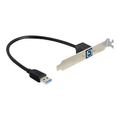 DeLOCK Slot bracket - USB-paneel - 30 cm