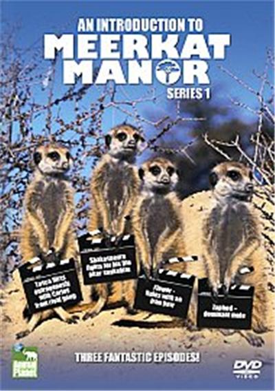 An Introduction To Meerkat Manor