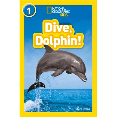Dive Dolphin