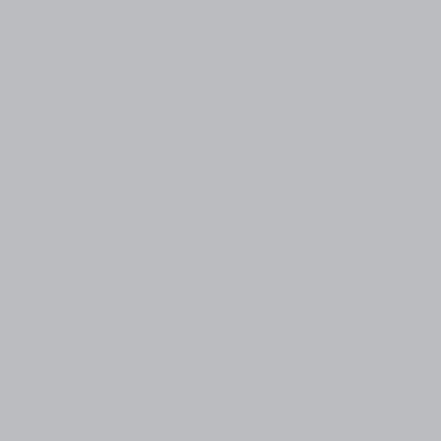 Savage Widetone papier Seamless Background (# 14 ciel gris, 53 x 36' )