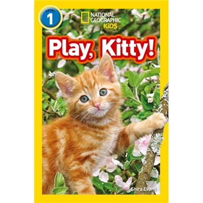 Play Kitty