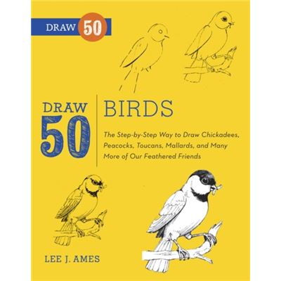Draw 50 Birds (Paperback)