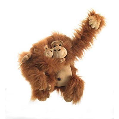 PLUSH&COMPANY - 15709 - PELUCHE - ORAZIO ORANG-OUTAN - 25 CM