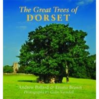 Great trees of dorset