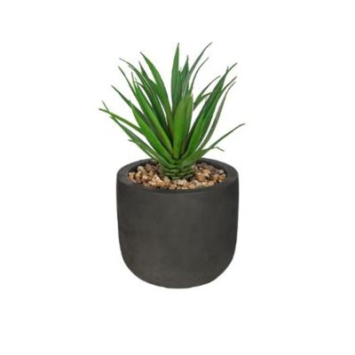 plante verte etnik 20cm