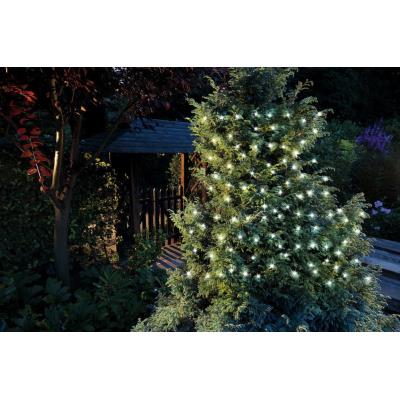 Cole & Bright - Guirlande led d'extérieur 1 m 100 LED