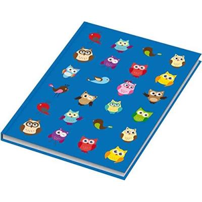 Rnk verlag carnet hibou a4, 96 feuilles 46402