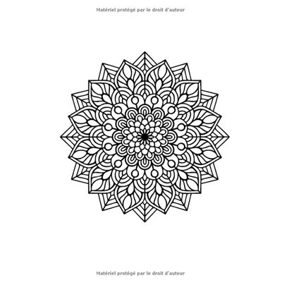 Mandala livre de coloriage pour adultes: Mandala Animaux: 60 Mandalas  Anti-stress Magnifiques Mandalas à Colorier, livre coloriage Adulte mandala  - Li