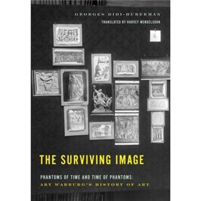 Surviving Image