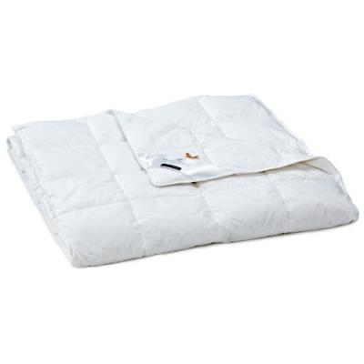Billerbeck 5542620004 duvet e04 goldedition superlight 155 220 cm (blanc)