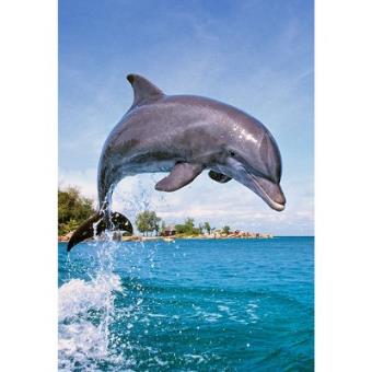 Puzzle MB 'Dauphins Dans La Vague' - 500 Pièces, Occasion, Thème Animaux Et Mer, Fabriqué En France