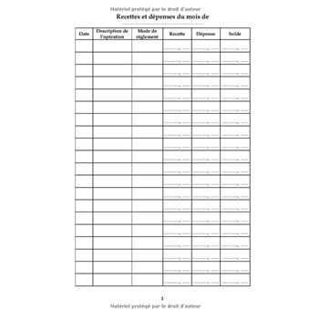 Livre de caisse : Journal des recettes et dépenses - 102 pages Format 14 x  21 cm NLFBP Editions - broché - NLFBP Editions - Achat Livre