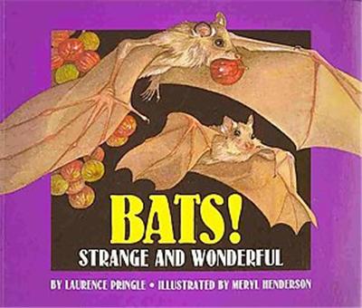 Bats! Strange and Wonderful