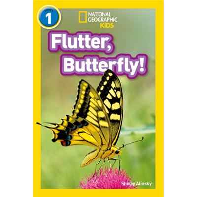 Flutter Butterfly
