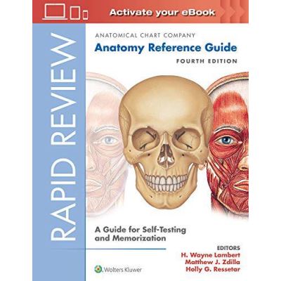 Rapid Review: Anatomy Reference Guide: A Guide for Self-Testing and Memorization - [Version Originale]