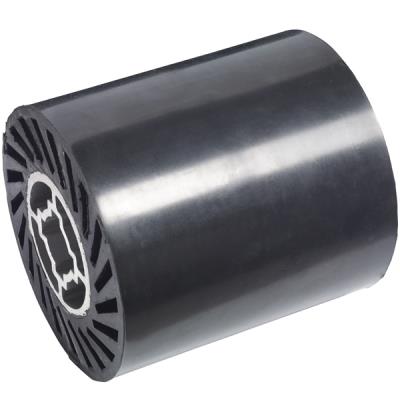 Bosch Rouleau Expansion pour Polisseuse - 2608000610