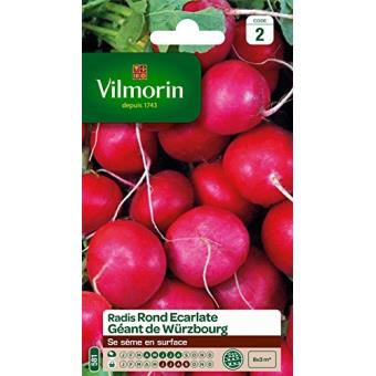 Vilmorin 3881142 Pack De Graines Radis Rond Ecarlate Géante De Wurtzbourg - 1