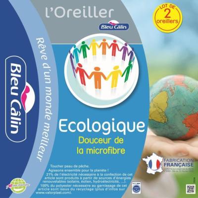 BLEU CALIN Lot de 2 oreillers ECOLOGIQUE 60x60cm
