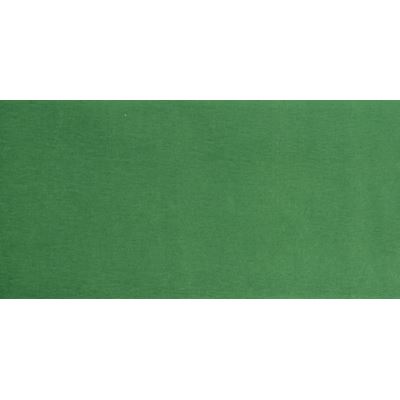 Creotime papier crêpe 50 x 250 cm 28 grammes 10 pièces vert