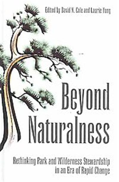 Beyond Naturalness