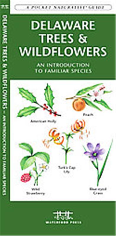 Delaware Trees & Wildflowers, A   pocket naturalist guide