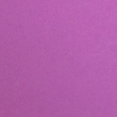 Savage Widetone papier Seamless Background (# 91 Plum, 53 x 36' )