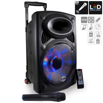 Enceinte 12 700W Amplifiée PICKY12 à LEDs USB/SD