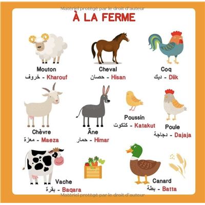 Le Petit Bac version ARABE - Amusant et ludique - Vocabulaire et