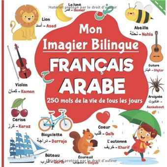 Pack : Mon Grand Imagier dictionnaire Bilingue (arabe-français) + DVD Mon  Imagier bilingue