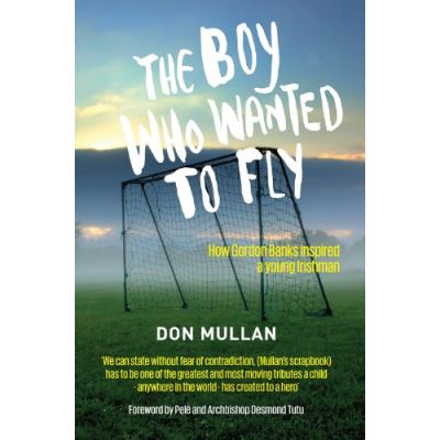 The Boy Who Wanted To Fly