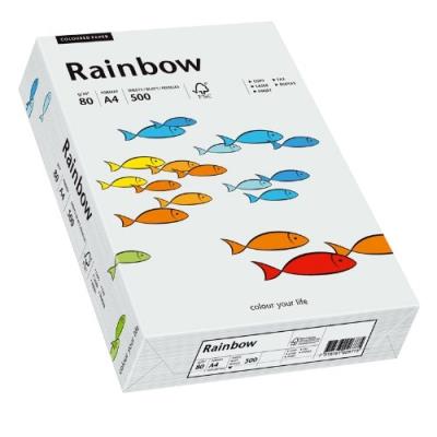Papyrus 88042783 rainbow lot de papier a4 de 80 g m ² 500 feuilles gris clair