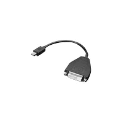 Lenovo DisplayPort-adapter - 20 cm