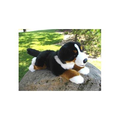 Bouvier Bernois 42CM