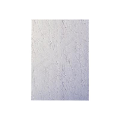 Leitz - couverture à reliure
