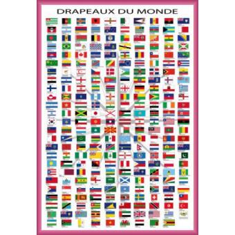 Poster Encadré Drapeaux Du Monde Noms Des Pays Et Capitales En Français 91x61 Cm Cadre Plastique Pink